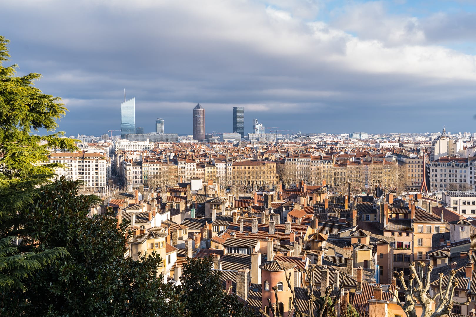 Panorama sur la ville de Lyon montrant les toits du Vieux Lyon au milieu de branches d'arbres, immeubles modernes dans le fond