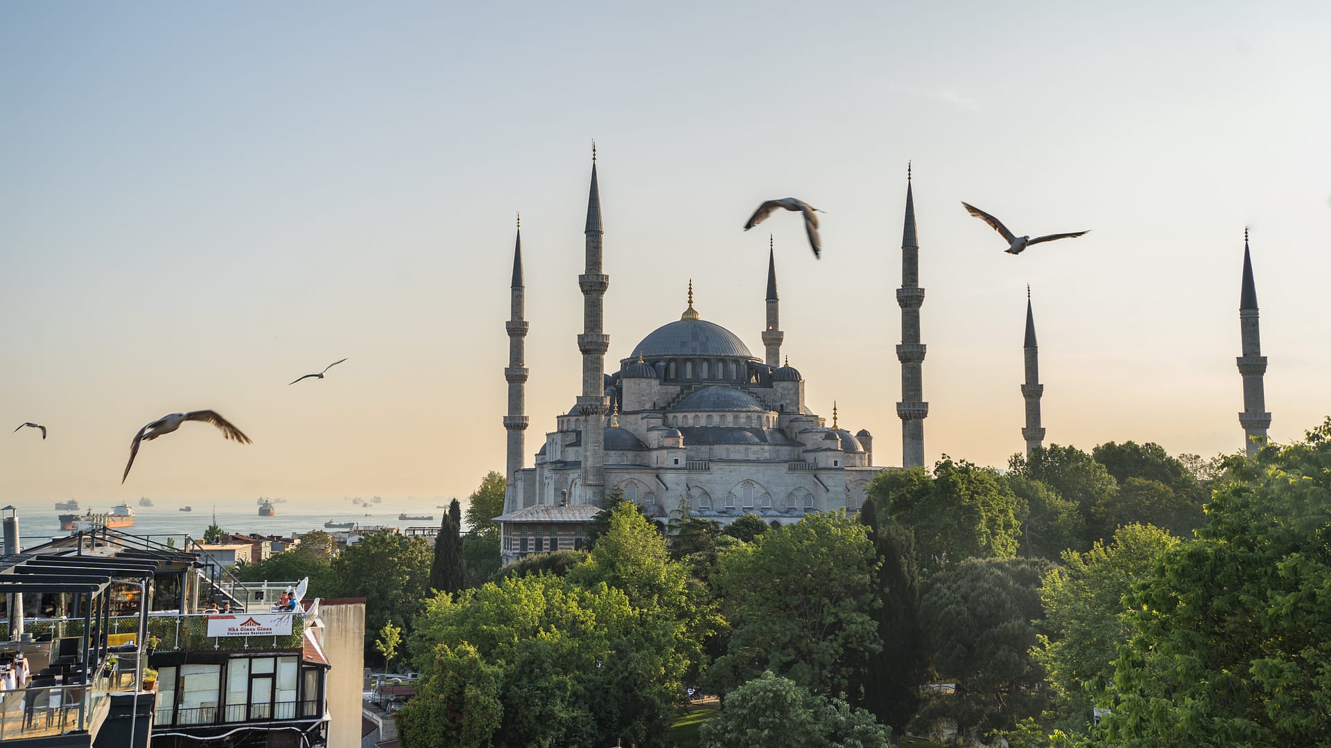 Plan large de la mosquée bleue au coucher du soleil